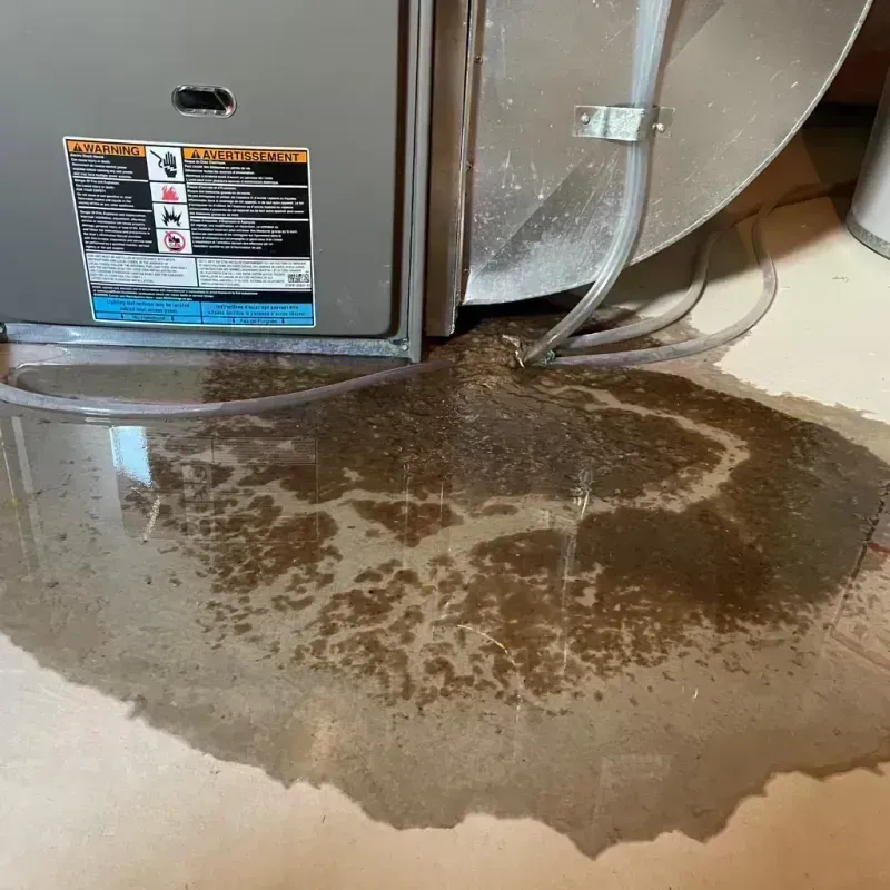 Appliance Leak Cleanup in Peru, IL